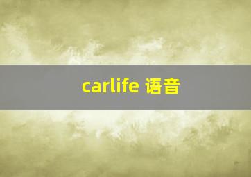 carlife 语音